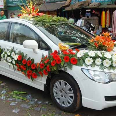 Groom Car Premio